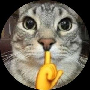 Meet your Posher, Stephen